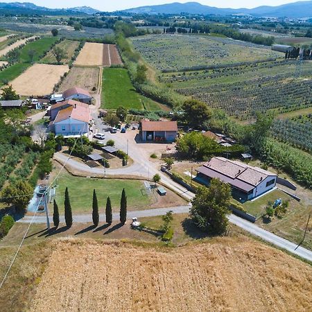 Agriturismo Ferri Биббона Экстерьер фото